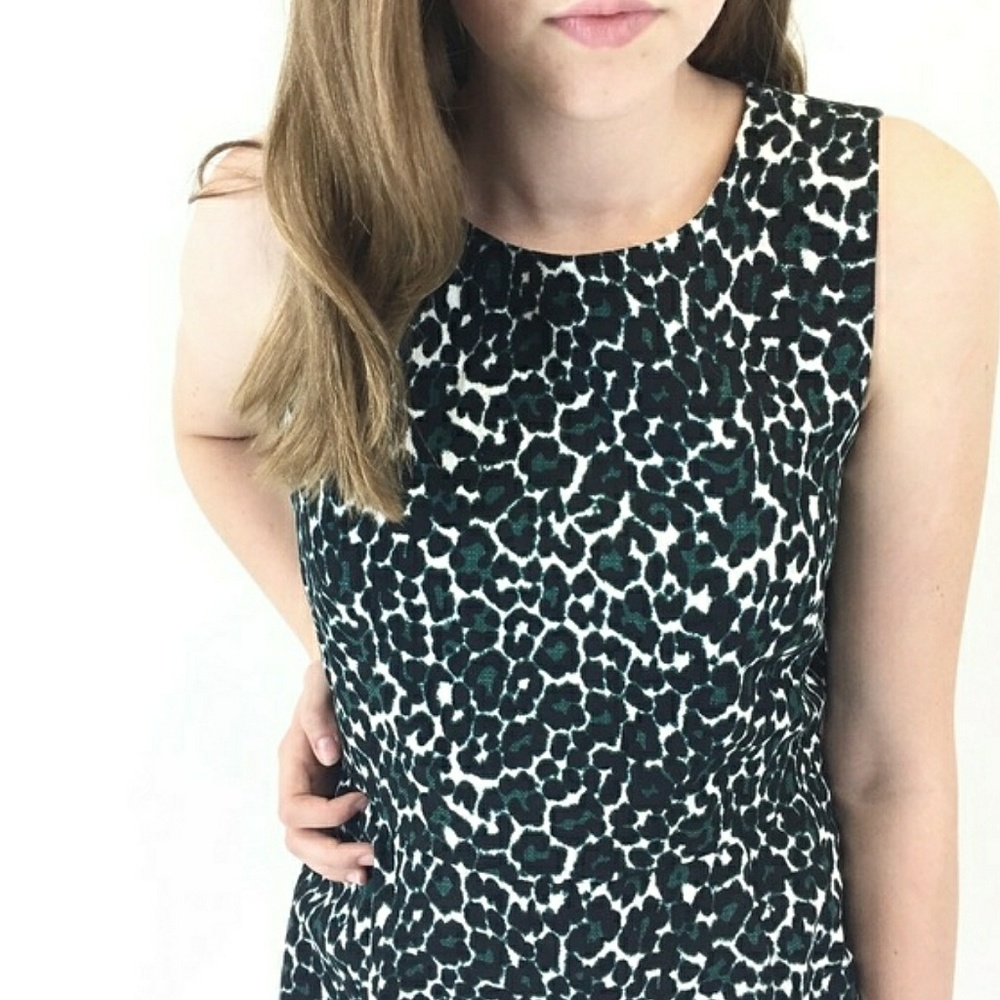 J Crew leopard print dress